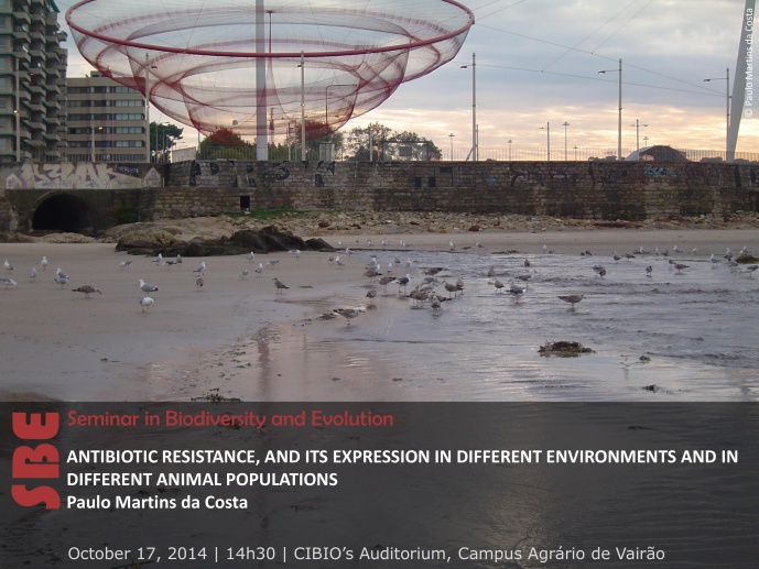 ANTIBIOTIC RESISTANCE, AND ITS EXPRESSION IN DIFFERENT ENVIRONMENTS AND IN DIFFERENT ANIMAL POPULATIONS