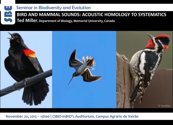 BIRD AND MAMMAL SOUNDS: ACOUSTIC HOMOLOGY TO SYSTEMATICS