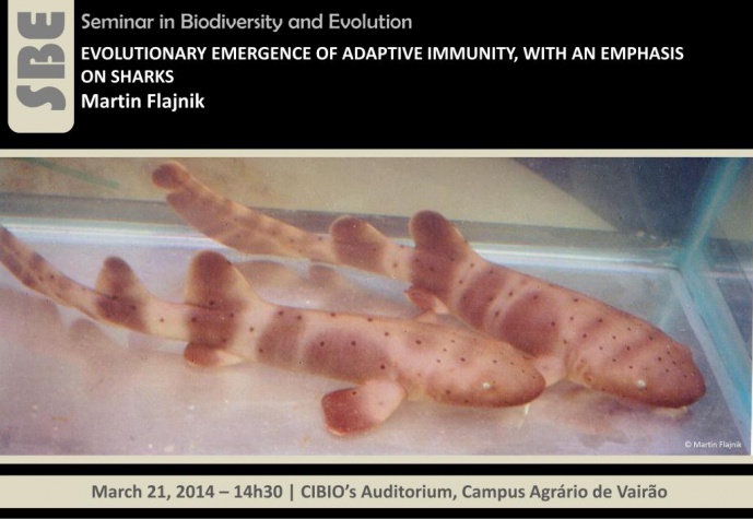 EVOLUTIONARY EMERGENCE OF ADAPTIVE IMMUNITY, WITH AN EMPHASIS ON SHARKS