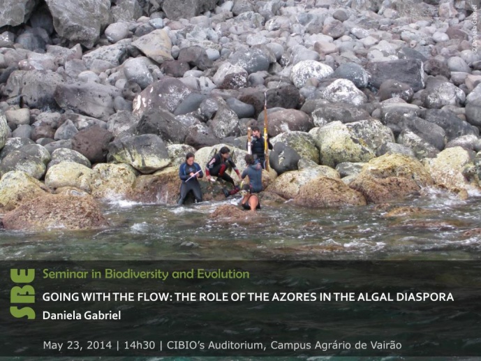 GOING WITH THE FLOW: THE ROLE OF THE AZORES IN THE ALGAL DIASPORA
