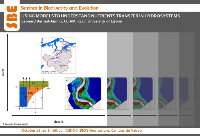 USING MODELS TO UNDERSTAND NUTRIENTS TRANSFER IN HYDROSYSTEMS
