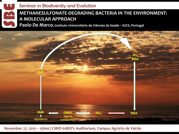 METHANESULFONATE-DEGRADING BACTERIA IN THE ENVIRONMENT: A MOLECULAR APPROACH