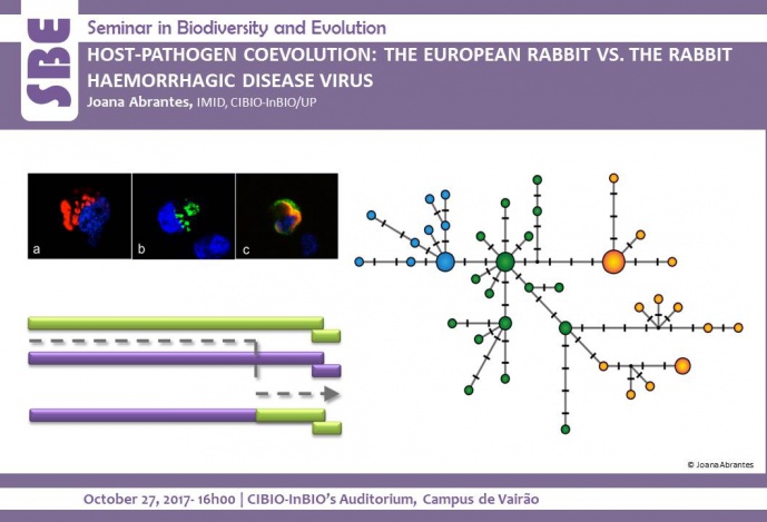 HOST-PATHOGEN COEVOLUTION: THE EUROPEAN RABBIT VS. THE RABBIT HAEMORRHAGIC DISEASE VIRUS