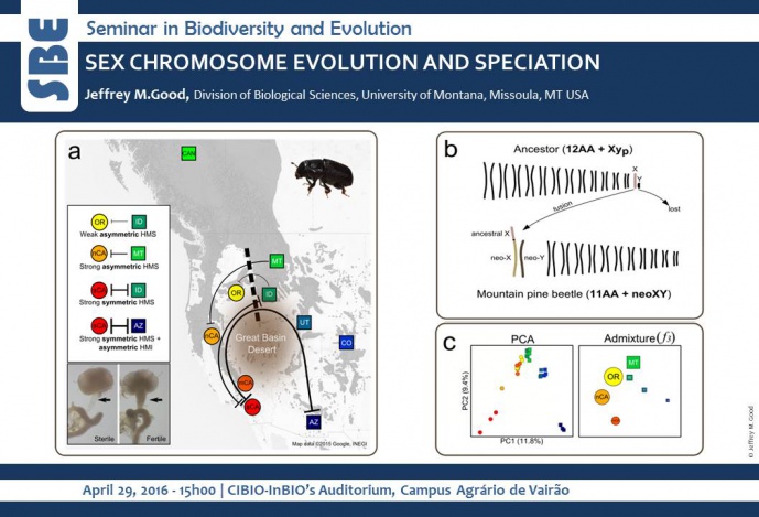 SEX CHROMOSOME EVOLUTION AND SPECIATION