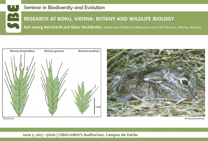 RESEARCH AT BOKU, VIENNA: BOTANY AND WILDLIFE BIOLOGY