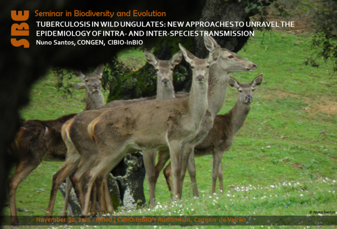 TUBERCULOSIS IN WILD UNGULATES: NEW APPROACHES TO UNRAVEL THE EPIDEMIOLOGY OF INTRA- AND INTER-SPECIES TRANSMISSION