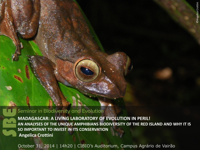 MADAGASCAR: A LIVING LABORATORY OF EVOLUTION IN PERIL! AN ANALYSES OF THE UNIQUE AMPHIBIANS BIODIVERSITY OF THE RED ISLAND AND WHY IT IS SO IMPORTANT TO INVEST IN ITS CONSERVATION