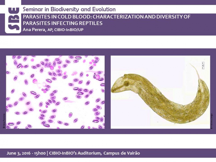 PARASITES IN COLD BLOOD: CHARACTERIZATION AND DIVERSITY OF PARASITES INFECTING REPTILES