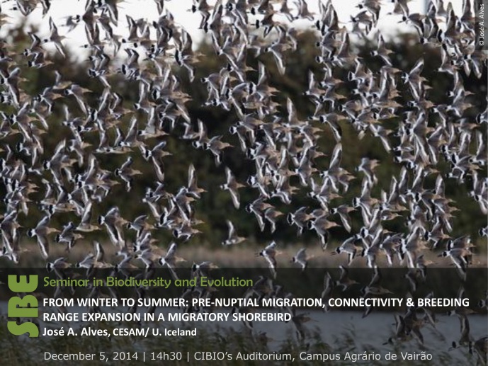 FROM WINTER TO SUMMER: PRE-NUPTIAL MIGRATION, CONNECTIVITY & BREEDING RANGE EXPANSION IN A MIGRATORY SHOREBIRD