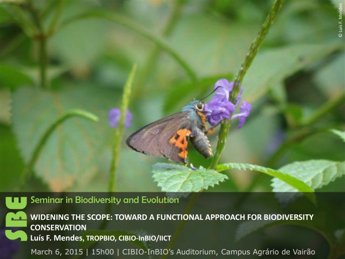 BUTTERFLIES AND SKIPPERS OF SÃO TOMÉ E PRÍNCIPE