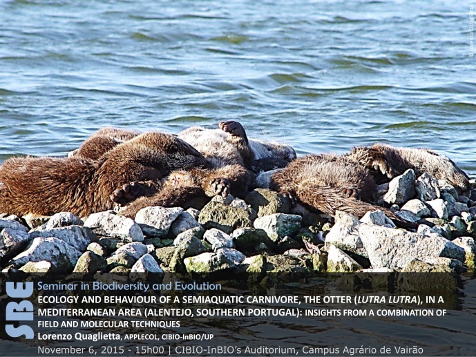ECOLOGY AND BEHAVIOUR OF A SEMIAQUATIC CARNIVORE, THE OTTER (LUTRA LUTRA), IN A MEDITERRANEAN AREA (ALENTEJO, SOUTHERN PORTUGAL): INSIGHTS FROM A COMBINATION OF FIELD AND MOLECULAR TECHNIQUES