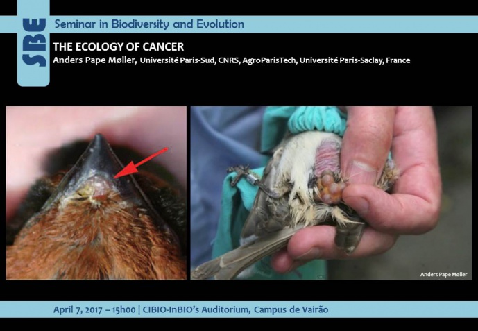 THE ECOLOGY OF CANCER