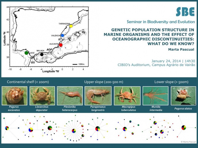 GENETIC POPULATION STRUCTURE IN MARINE ORGANISMS AND THE EFFECT OF OCEANOGRAPHIC DISCONTINUITIES: WHAT DO WE KNOW?