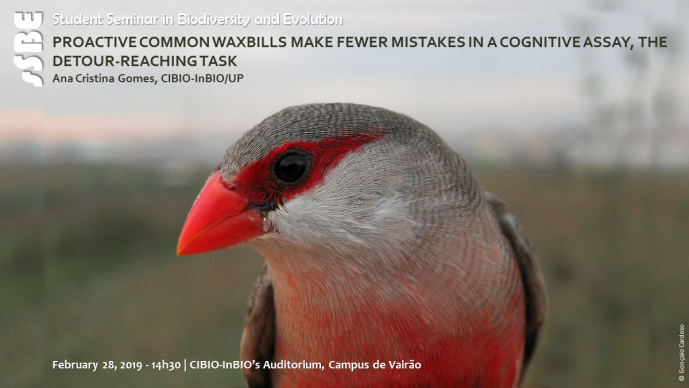PROACTIVE COMMON WAXBILLS MAKE FEWER MISTAKES IN A COGNITIVE ASSAY, THE DETOUR-REACHING TASK