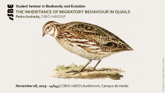 THE INHERITANCE OF MIGRATORY BEHAVIOUR IN QUAILS