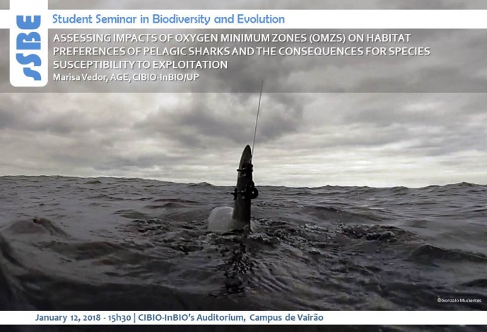 ASSESSING IMPACTS OF OXYGEN MINIMUM ZONES (OMZS) ON HABITAT PREFERENCES OF PELAGIC SHARKS AND THE CONSEQUENCES FOR SPECIES SUSCEPTIBILITY TO EXPLOITATION