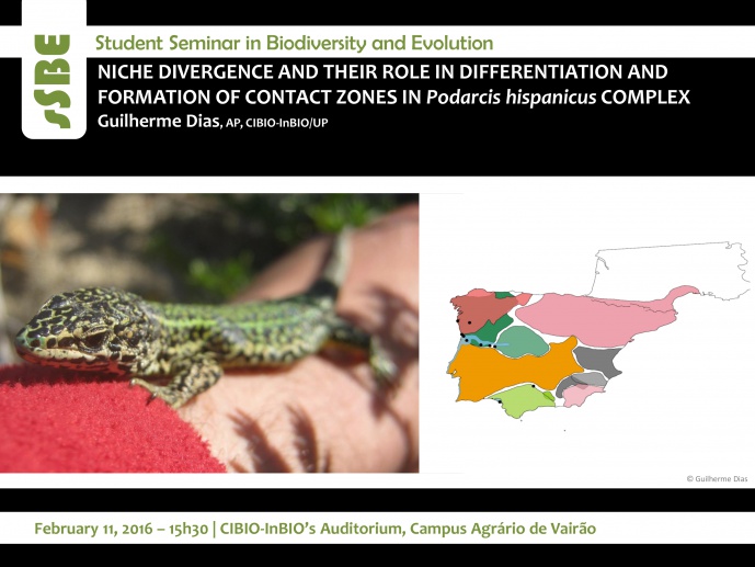 NICHE DIVERGENCE AND THEIR ROLE IN DIFFERENTIATION AND FORMATION OF CONTACT ZONES IN Podarcis hispanicus COMPLEX