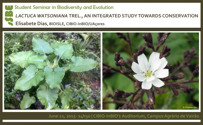 LACTUCA WATSONIANA TREL., AN INTEGRATED STUDY TOWARDS CONSERVATION