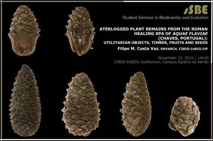 WATERLOGGED PLANT REMAINS FROM THE ROMAN HEALING SPA OF AQUAE FLAVIAE (CHAVES, PORTUGAL): UTILITARIAN OBJECTS, TIMBER, FRUITS AND SEEDS