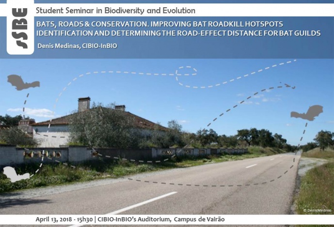 BATS, ROADS & CONSERVATION. IMPROVING BAT ROADKILL HOTSPOTS IDENTIFICATION AND DETERMINING THE ROAD-EFFECT DISTANCE FOR BAT GUILDS