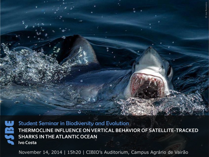 THERMOCLINE INFLUENCE ON VERTICAL BEHAVIOR OF SATELLITE-TRACKED SHARKS IN THE ATLANTIC OCEAN THERMOCLINE INFLUENCE ON VERTICAL BEHAVIOR OF SATELLITE-TRACKED SHARKS IN THE ATLANTIC OCEAN