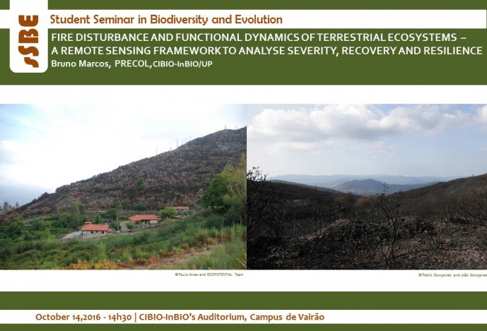 FIRE DISTURBANCE AND FUNCTIONAL DYNAMICS OF TERRESTRIAL ECOSYSTEMS – A REMOTE SENSING FRAMEWORK TO ANALYSE SEVERITY, RECOVERY AND RESILIENCE