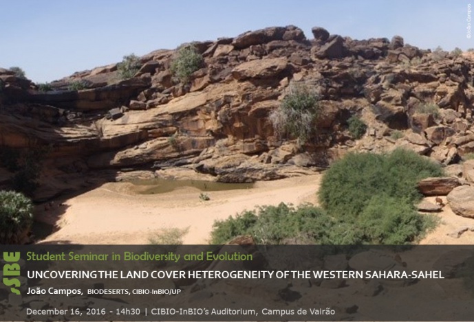 UNCOVERING THE LAND COVER HETEROGENEITY OF THE WESTERN SAHARA-SAHEL