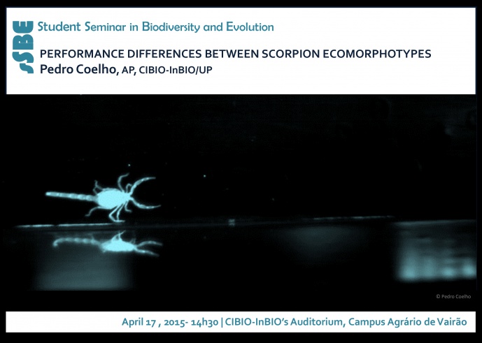 PERFORMANCE DIFFERENCES BETWEEN SCORPION ECOMORPHOTYPES