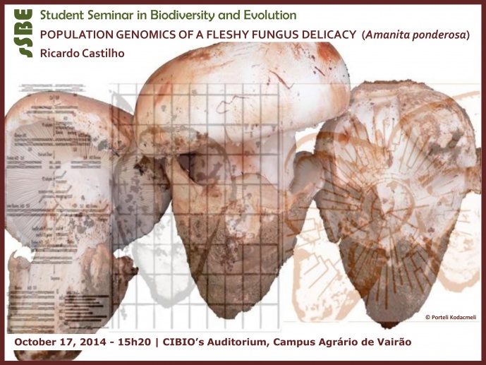 POPULATION GENOMICS OF A FLESHY FUNGUS DELICACY (Amanita ponderosa)