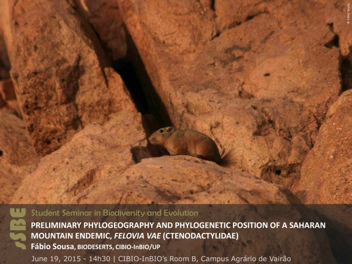 PRELIMINARY PHYLOGEOGRAPHY AND PHYLOGENETIC POSITION OF A SAHARAN MOUNTAIN ENDEMIC , FELOVIA VAE (CTENODACTYLIDAE)