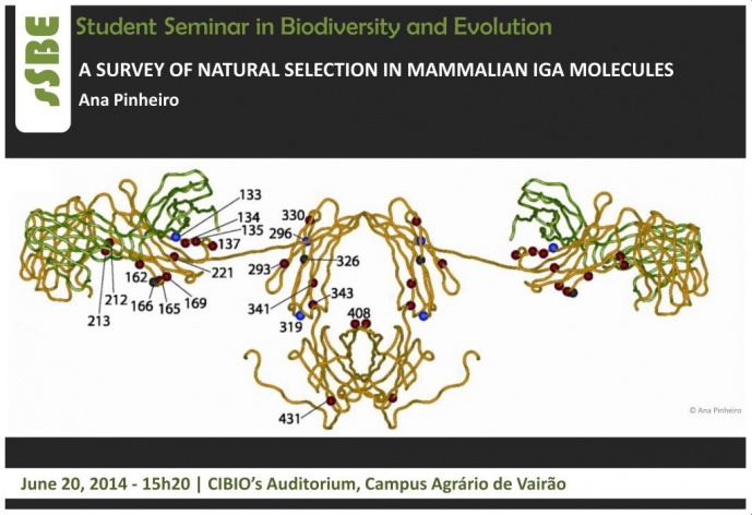 A SURVEY OF NATURAL SELECTION IN MAMMALIAN IGA MOLECULES