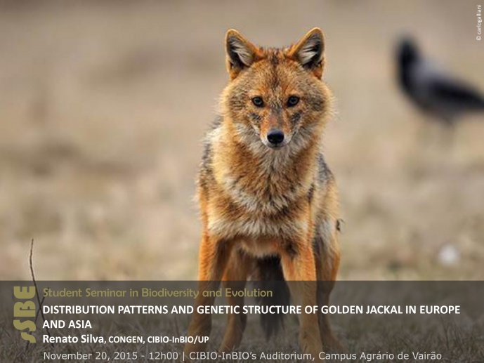 DISTRIBUTION PATTERNS AND GENETIC STRUCTURE OF GOLDEN JACKAL IN EUROPE AND ASIA