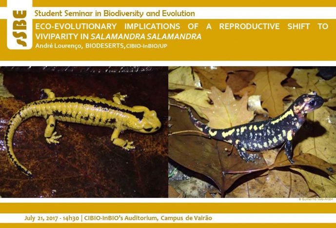 ECO-EVOLUTIONARY IMPLICATIONS OF A REPRODUCTIVE SHIFT TO VIVIPARITY IN SALAMANDRA SALAMANDRA