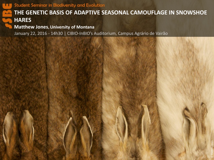 THE GENETIC BASIS OF ADAPTIVE SEASONAL CAMOUFLAGE IN SNOWSHOE HARES