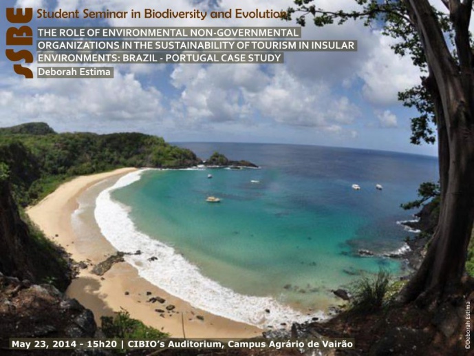 THE ROLE OF ENVIRONMENTAL NON-GOVERNMENTAL ORGANIZATIONS IN THE SUSTAINABILITY OF TOURISM IN INSULAR ENVIRONMENTS: BRAZIL - PORTUGAL CASE STUDY