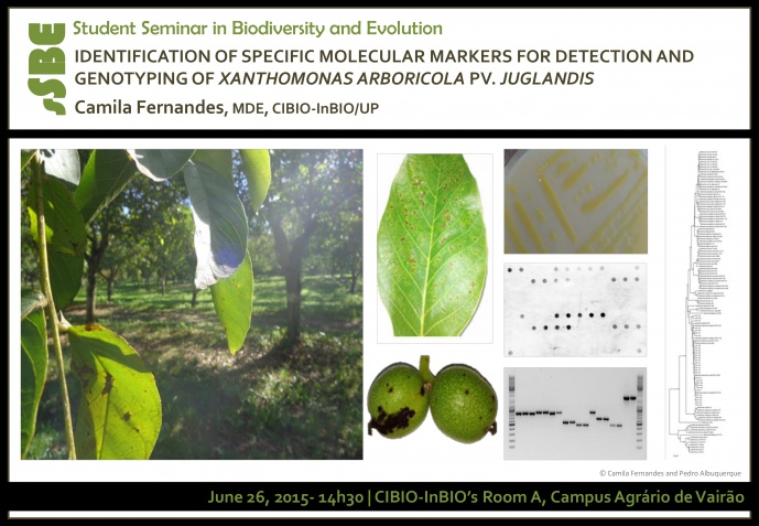 IDENTIFICATION OF SPECIFIC MOLECULAR MARKERS FOR DETECTION AND GENOTYPING OF XANTHOMONAS ARBORICOLA PV. JUGLANDIS