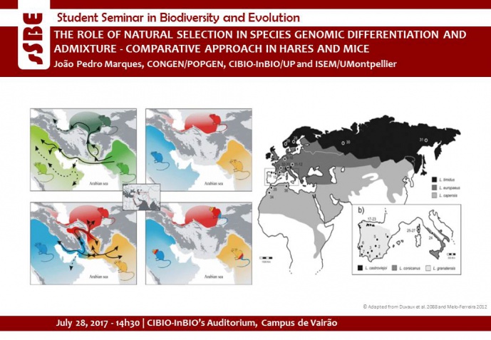 THE ROLE OF NATURAL SELECTION IN SPECIES GENOMIC DIFFERENTIATION AND ADMIXTURE - COMPARATIVE APPROACH IN HARES AND MICE