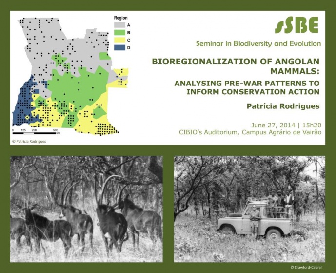 BIOREGIONALIZATION OF ANGOLAN MAMMALS: ANALYSING PRE-WAR PATTERNS TO INFORM CONSERVATION ACTION