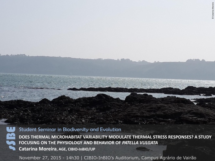 DOES THERMAL MICROHABITAT VARIABILITY MODULATE THERMAL STRESS RESPONSES? A STUDY FOCUSING ON THE PHYSIOLOGY AND BEHAVIOR OF PATELLA VULGATA