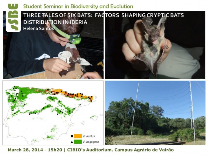THREE TALES OF SIX BATS: FACTORS SHAPING CRYPTIC BATS DISTRIBUTION IN IBERIA