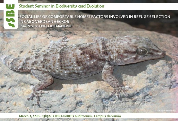 SOCIAL LIFE OR COMFORTABLE HOME? FACTORS INVOLVED IN REFUGE SELECTION IN CABO VERDEAN GECKOS
