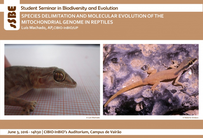 SPECIES DELIMITATION AND MOLECULAR EVOLUTION OF THE MITOCHONDRIAL GENOME IN REPTILES