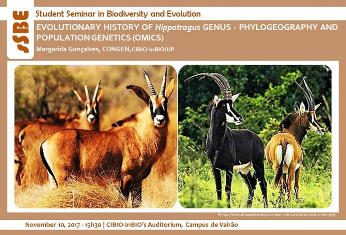 EVOLUTIONARY HISTORY OF Hippotragus GENUS - PHYLOGEOGRAPHY AND POPULATION GENETICS (OMICS)