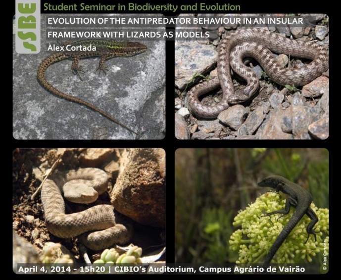 EVOLUTION OF THE ANTIPREDATOR BEHAVIOUR IN AN INSULAR FRAMEWORK WITH LIZARDS AS MODELS