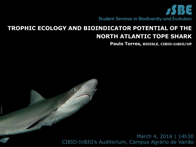 TROPHIC ECOLOGY AND BIOINDICATOR POTENTIAL OF THE NORTH ATLANTIC TOPE SHARK