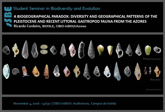 A BIOGEOGRAPHICAL PARADOX: DIVERSITY AND GEOGRAPHICAL PATTERNS OF THE PLEISTOCENE AND RECENT LITTORAL GASTROPOD FAUNA FROM THE AZORES
