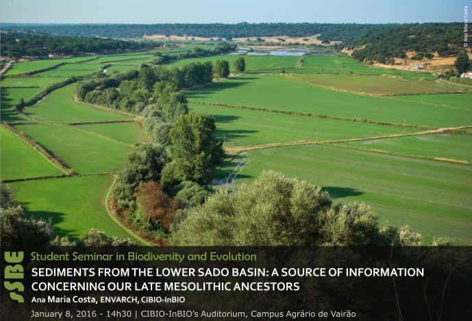 SEDIMENTS FROM THE LOWER SADO BASIN: A SOURCE OF INFORMATION CONCERNING OUR LATE MESOLITHIC ANCESTORS