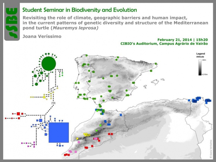 REVISITING THE ROLE OF CLIMATE, GEOGRAPHIC BARRIERS AND HUMAN IMPACT, IN THE CURRENT PATTERNS OF GENETIC DIVERSITY AND STRUCTURE OF THE MEDITERRANEAN POND TURTLE (Mauremys Leprosa)