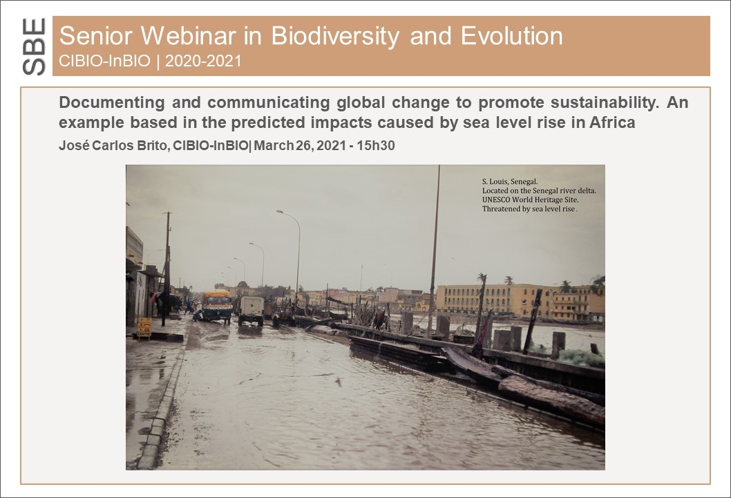 Documenting and communicating global change to promote sustainability. An example based in the predicted impacts caused by sea level rise in Africa