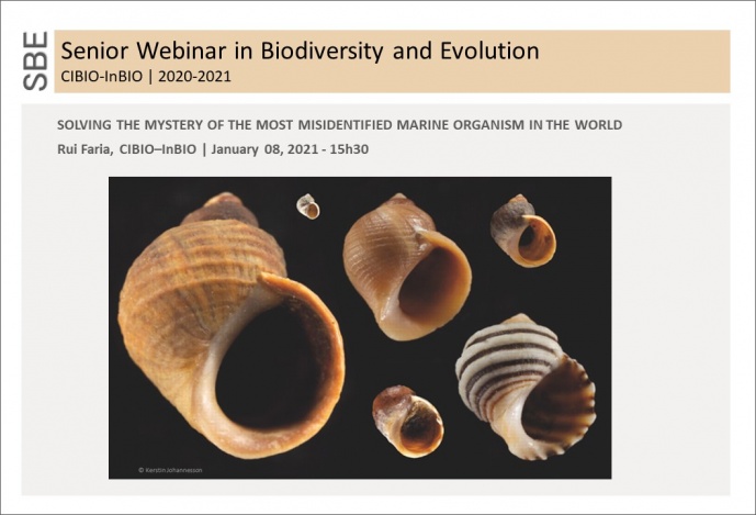Solving the mystery of the most misidentified marine organism in the world